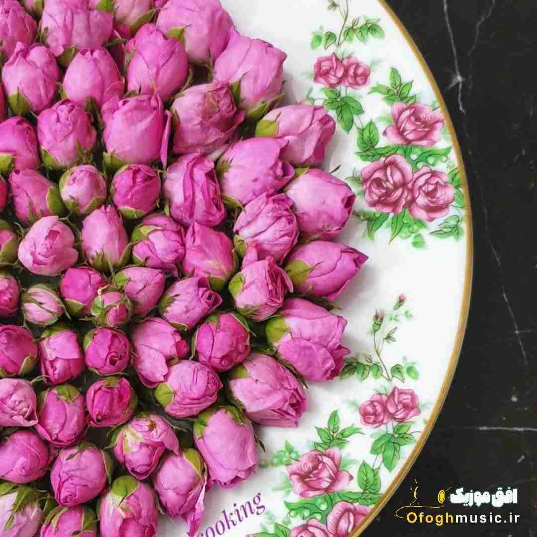  واویلا لیلی بگو کجا بودی شبو بیبی