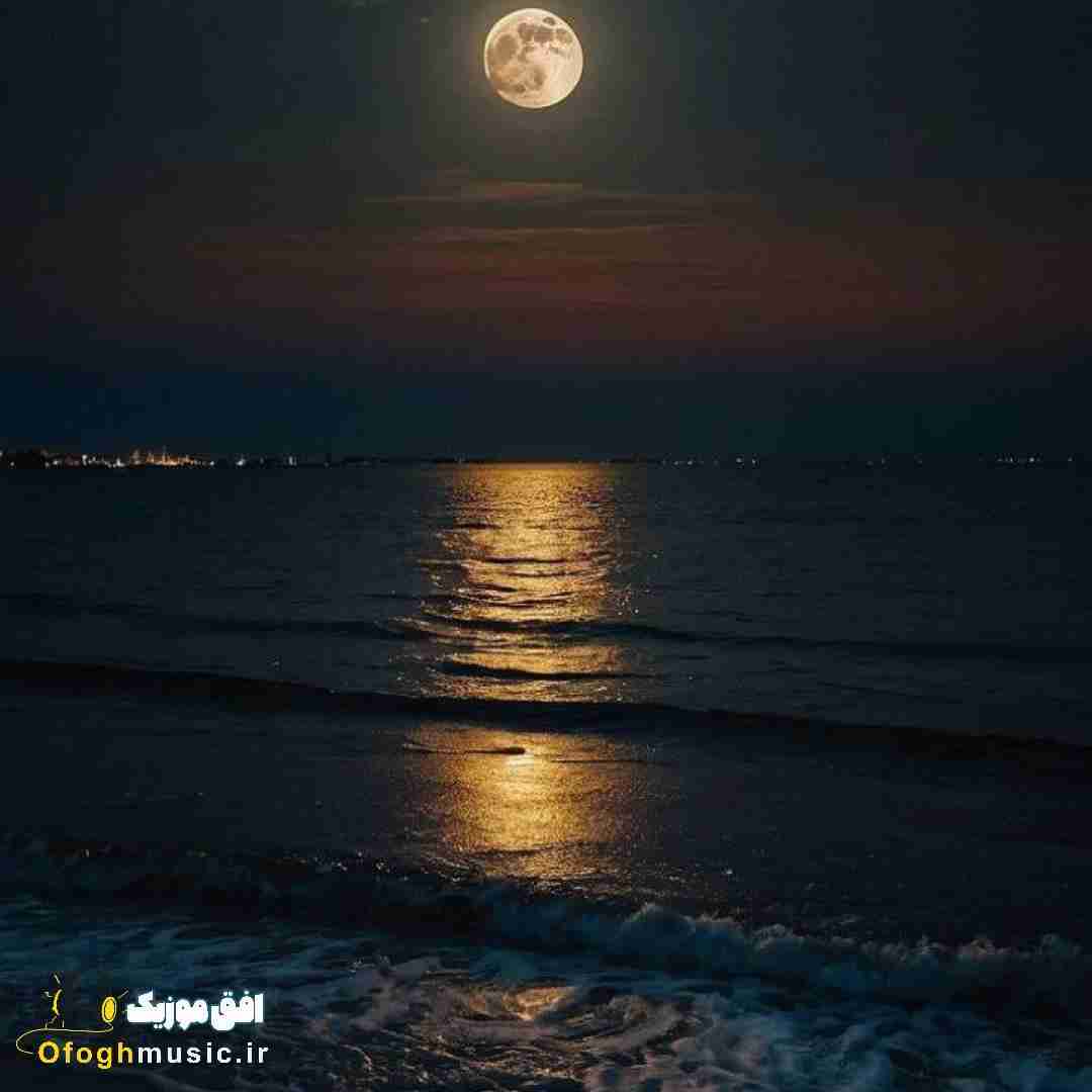 دشی مثل گل تو باغچه پژمرده دیگه روحم