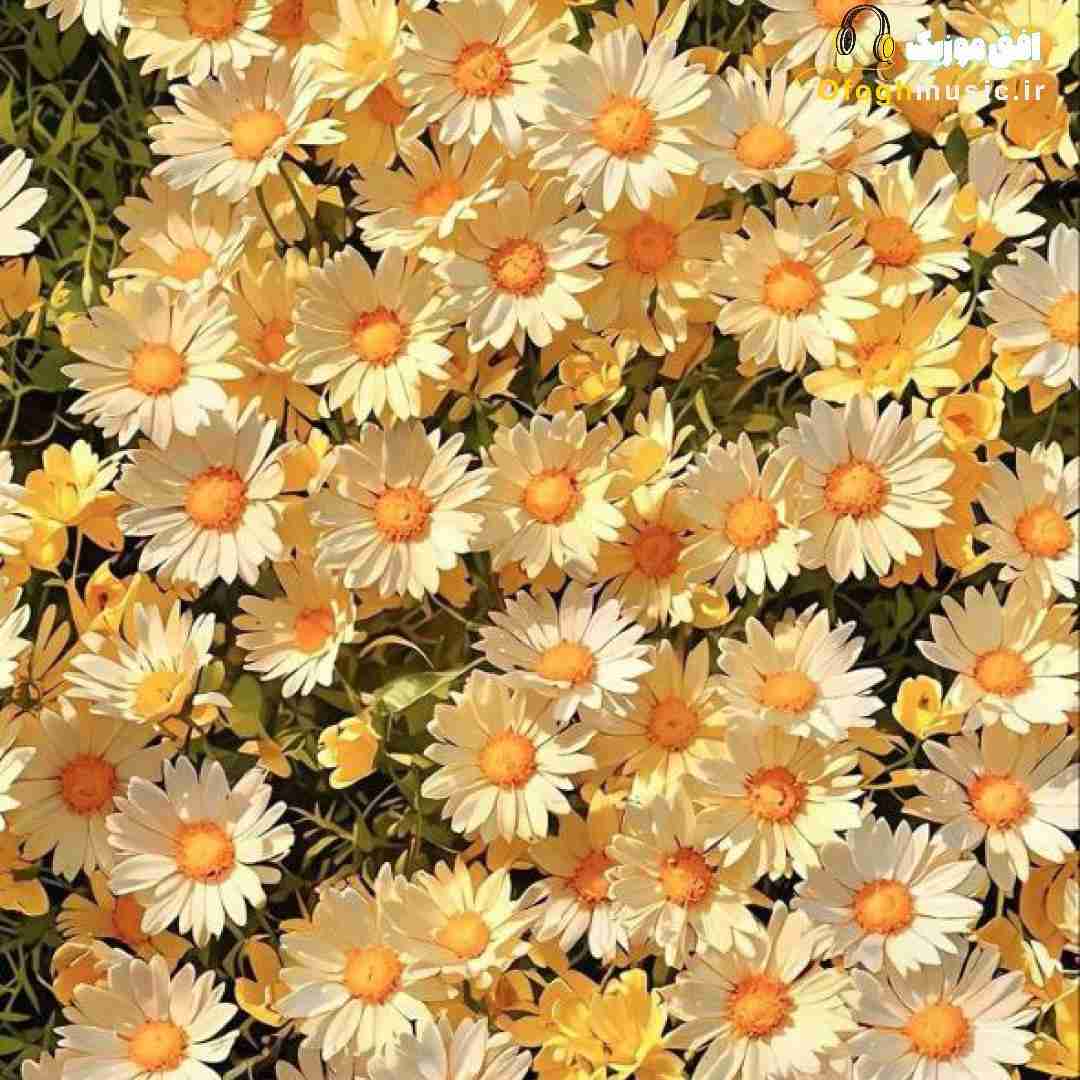  حواسم میشه پرت وقتی بام میشی چش چش