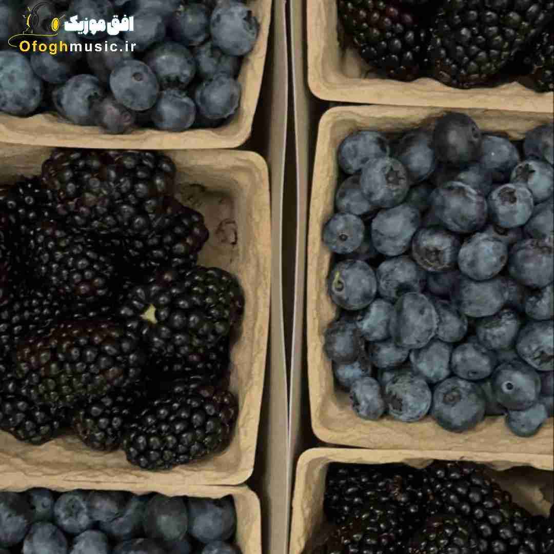آستاره بختیاری بی عشق تو