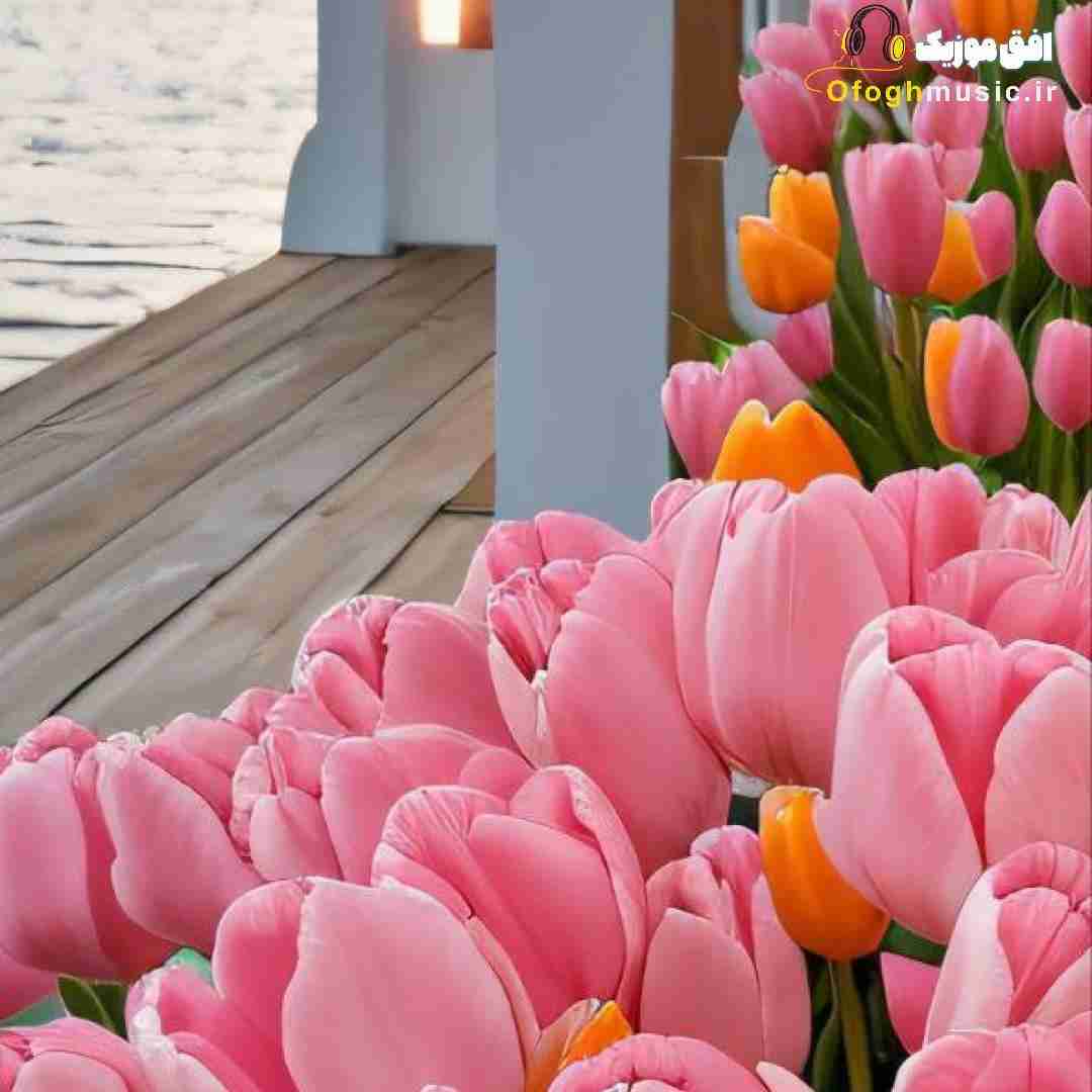 آستاره بختیاری گلمی