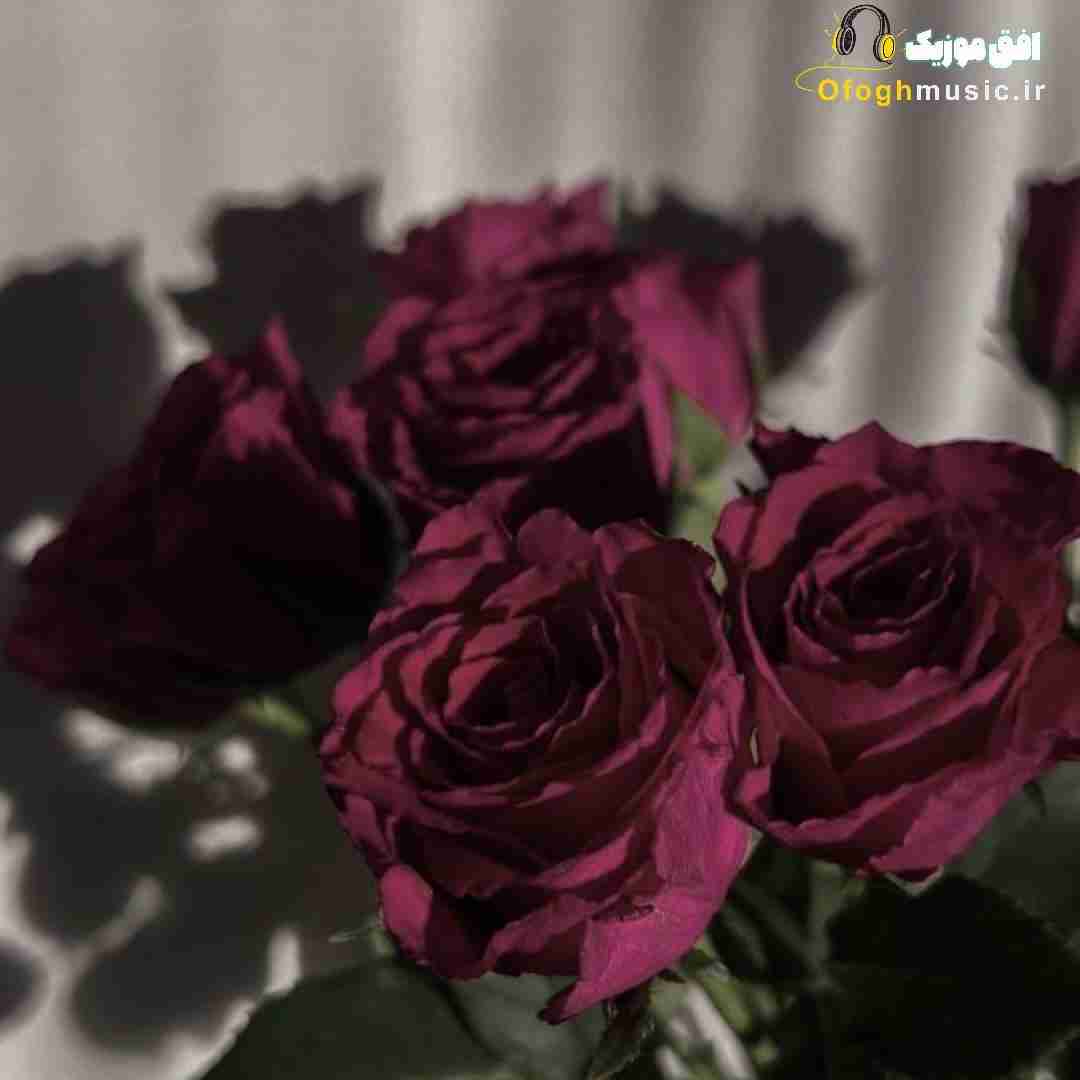 گفتی جدا بشیم گفتم حتی لفظشو نیا