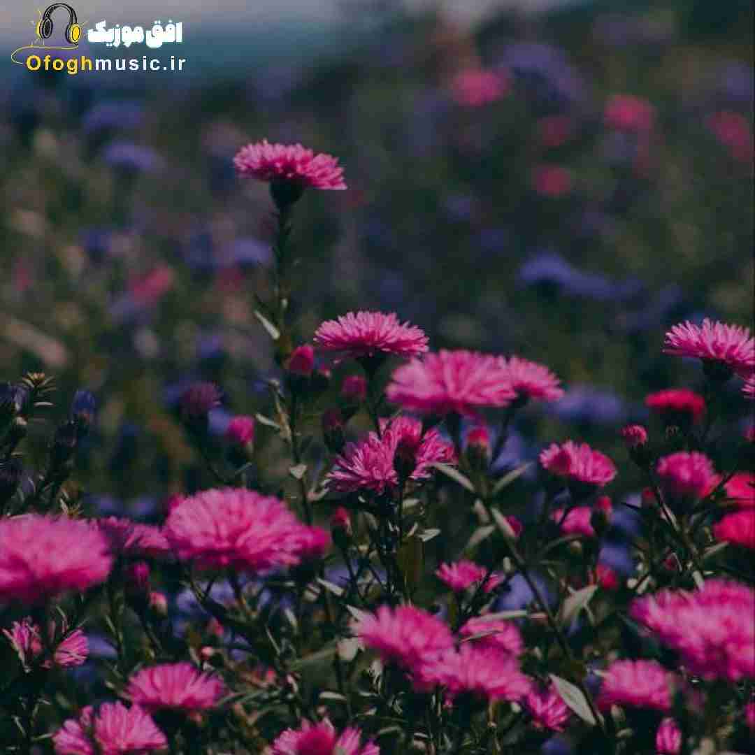 نباشی بازم هستی دادم بهت دلو دو دستی