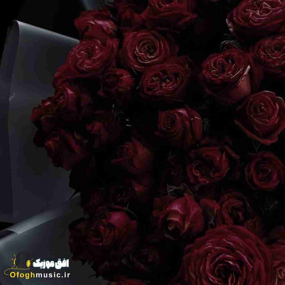  مهربانم این جواب خوبیه من نیست (هوش مصنوعی)