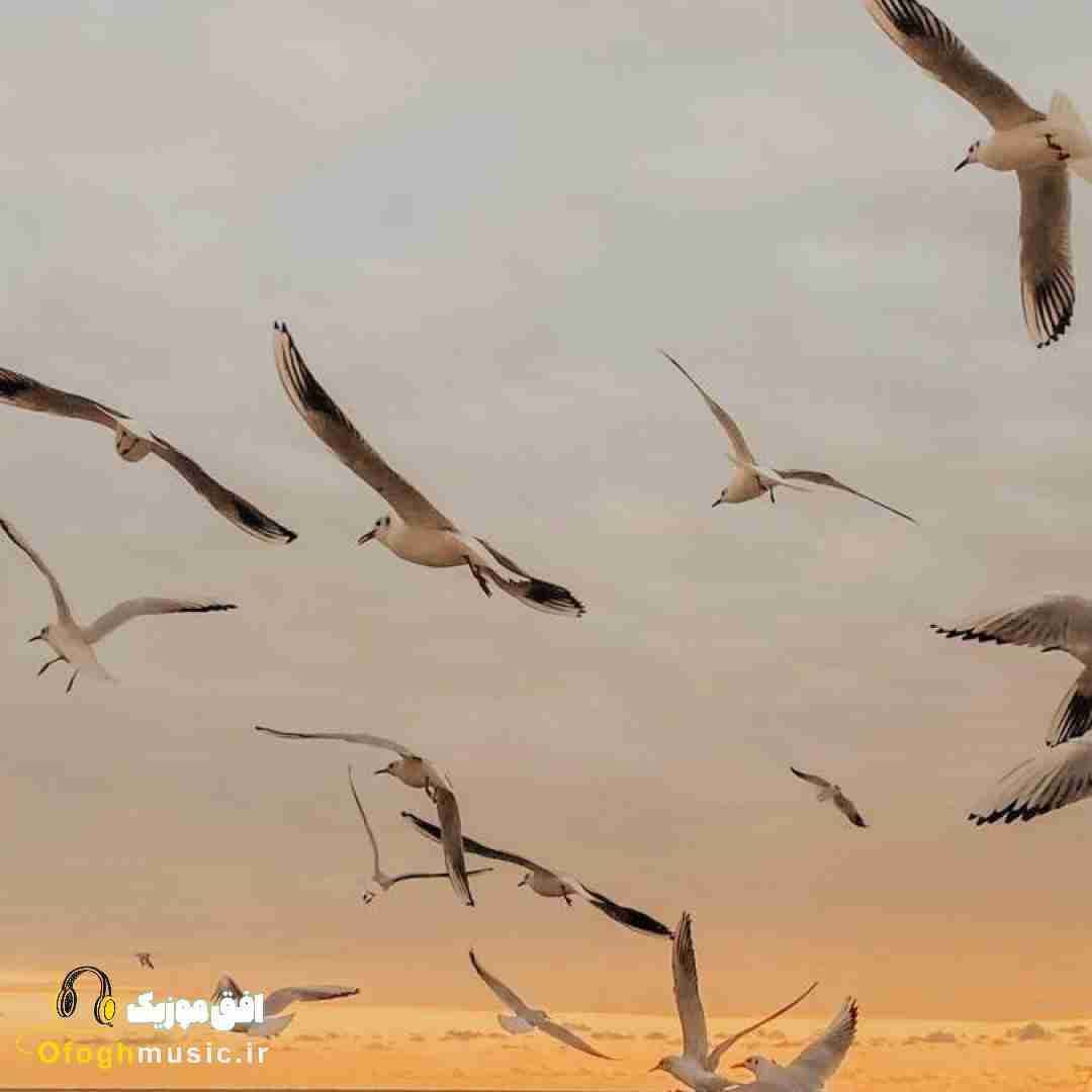  کلان میده تو آیینه نور بالا من توپم