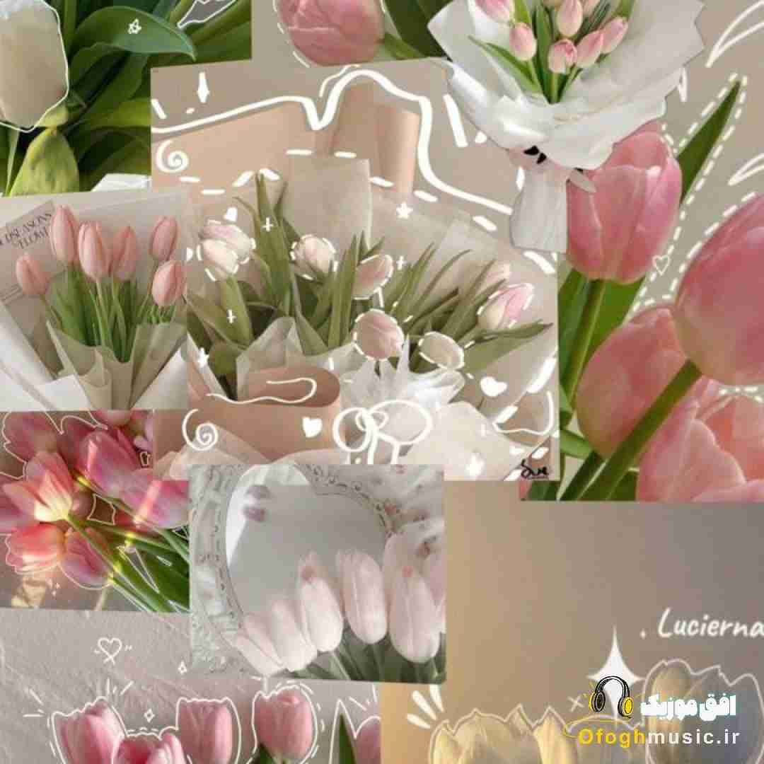 از رو عرش بری پایین باهات روی فرش میام