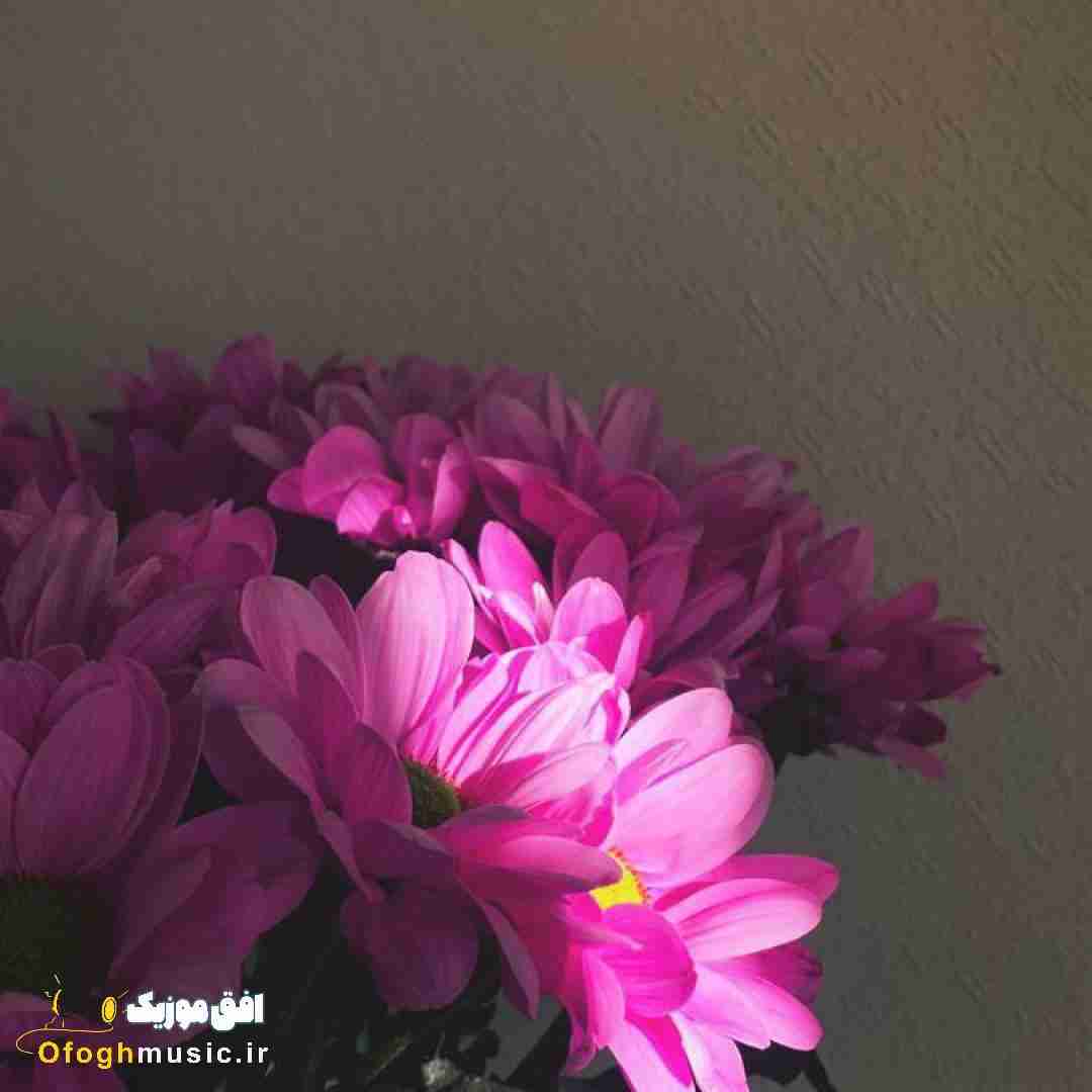 بوسیدمت هر بار برا بار آخر تو رفتی نمیکنم هیچوقت اینو
