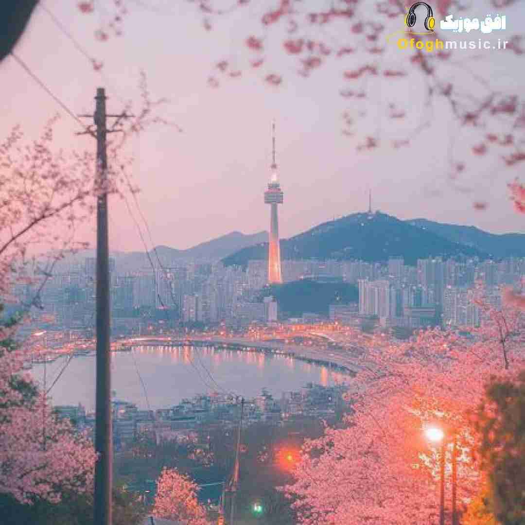  صدفم‌ مروارید‌ تو‌ تنها‌ مونده قبل اینکه بری