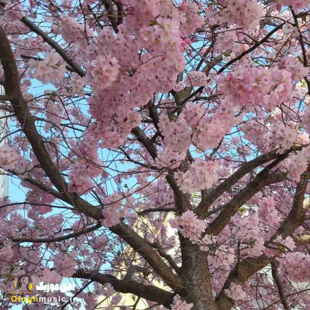  فکر اینکه یرو نبینمت میکنه راحت بیمار