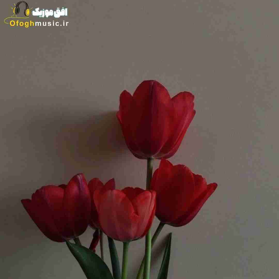  من دلم نمیخواست ولی از پس همه چی تنهایی برام