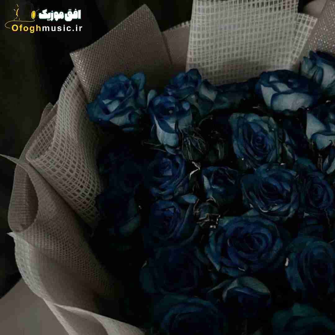 یه دفعه رویات عوض شد دنبال رویات دوییدم