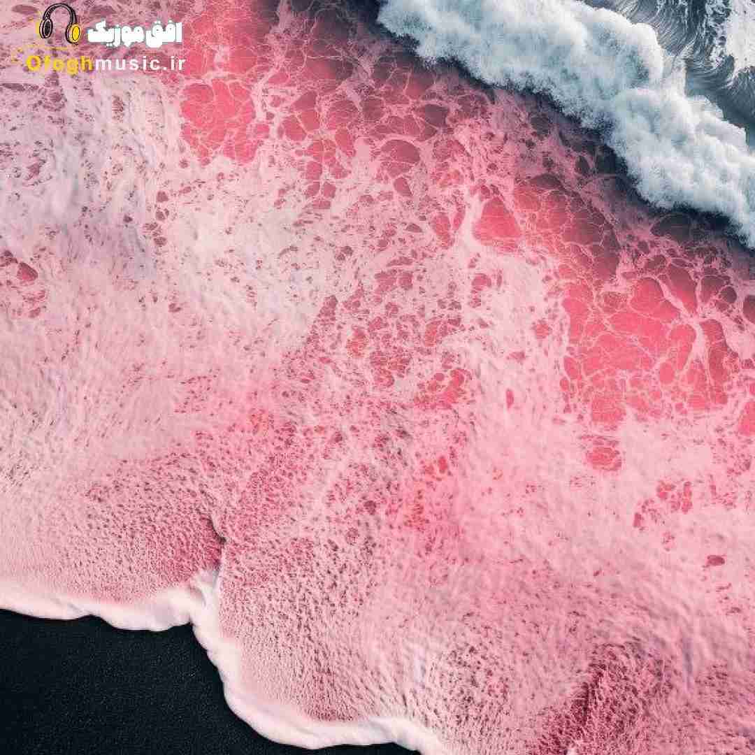 فاطمه رحمانی بهار 404