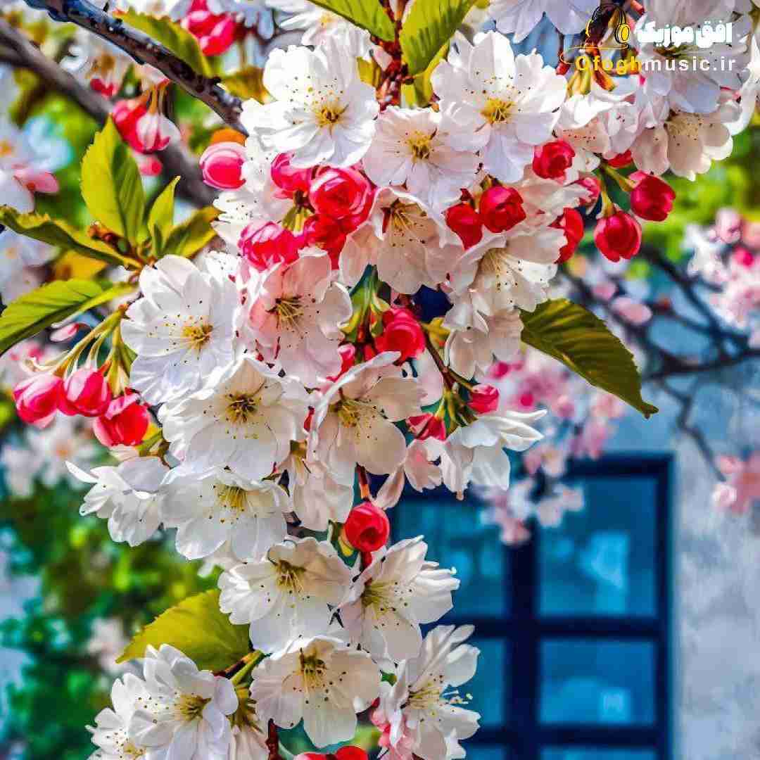  من نمیدونم چقد بد بودم که سهمم اینه