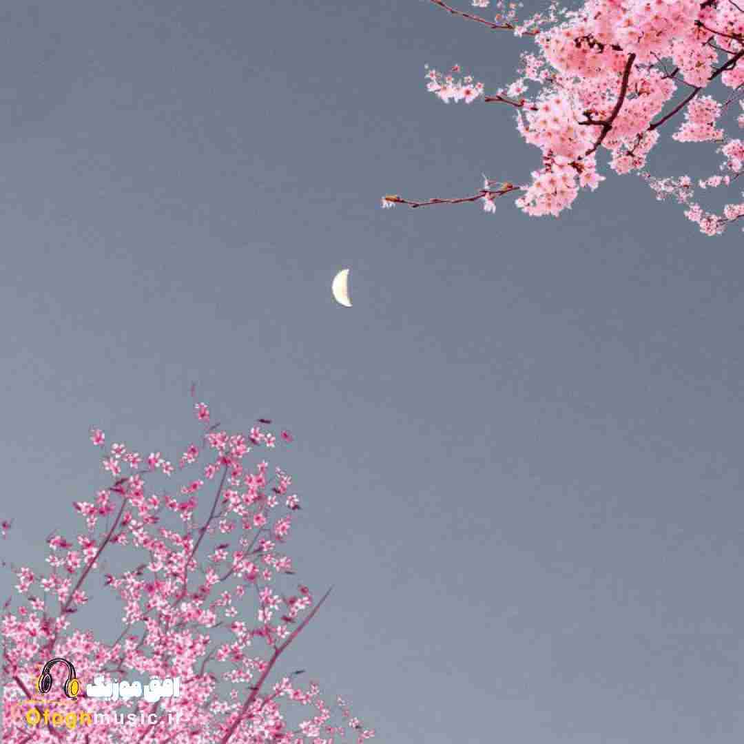 از تو پاچیدم هیچی نمیگم اولین باره بعد یه نفر