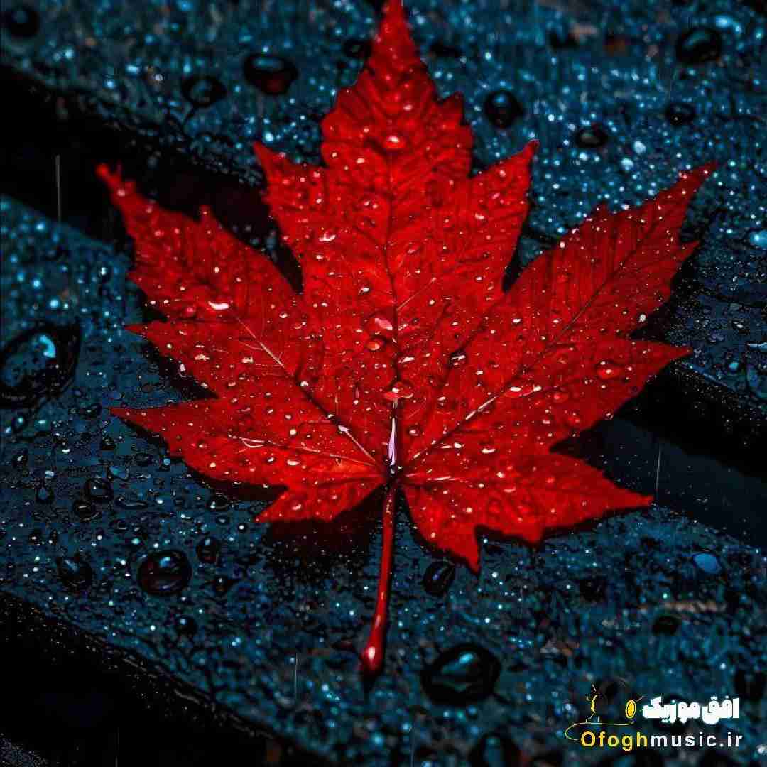 تو همونی که میخوام حیف نموندی بیبی بام