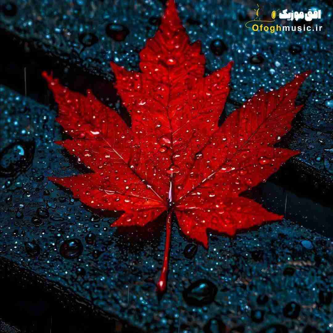  خودم پزشکی خوندم بچه برق قدرت
