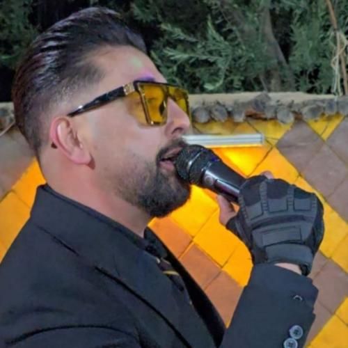 سعید کریمی دل ای دل