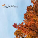 دانلود برترین آهنگ های پاییز 1405