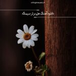 دانلود آهنگ های برتر سیمگه (خواننده ترک) 2026
