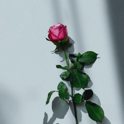 تو بیا حرف بزنیم واسه ی همیشه نرو