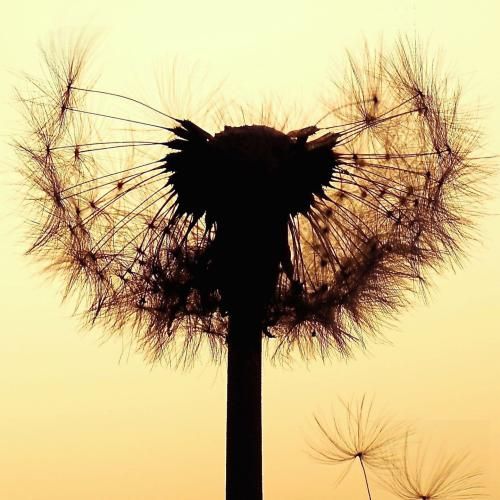 دانلود ریمیکس نمیدونم شایدم نمیدونی که سر هرچی بشه بهم میگی