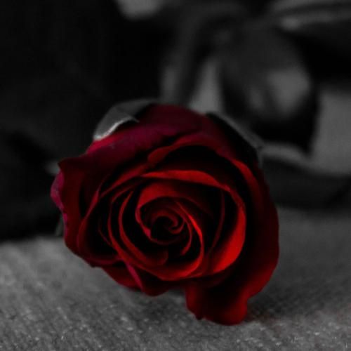 دلم گرفته بدجور حال روحیم خرابه