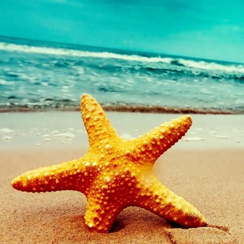  تو میگی تروریست من میگم زن یا بچه