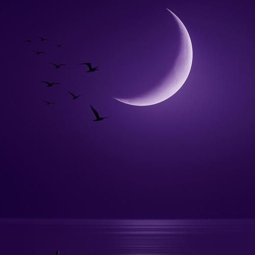 بدون دلیل برو به خرید بخر لوازم لباس جدید (ترند اینستا)
