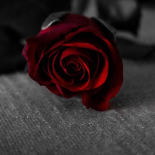 چقد درد داره این حرف که میگن اگه عشق