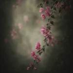 از خون جوونامون داره لاله میدمه قاصدک خبر که بده