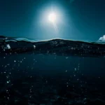 دانلود آهنگ جدید هنوزم مثل روز اول ذوقتو دارم (هوش مصنوعی) از