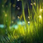 فدای اون بینی زیبای عملیت (ترند اینستا) فدای اون بینی زیبای عملیت (ترند اینستا)