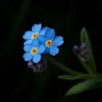 درست لحظه ی که تو باید بری اسیر یه احساس با صدای زن