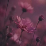 دیگه عادتمه میبینم من کابوس هرشب