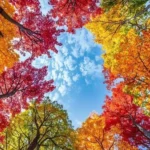 دانلود ریمیکس جدید یه چی میگم شاید قدیمیا درک نکنن دیروز پولم