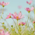 دانلود آهنگ جدید لباس قری از دیارا