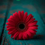 دانلود آهنگ جدید شرمندم اگه نشد که بشه دیدی رفتم و ازت (هوش مصنوعی)