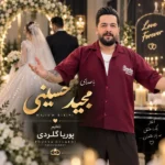 دانلود آهنگ جدید عروس دوماد از مجید حسینی