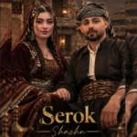 دانلود آهنگ جدید شاژن از سردار پیروی